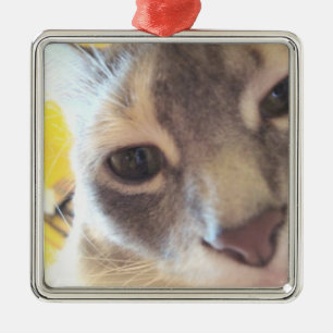 Ornamento De Metal Gato Cinto