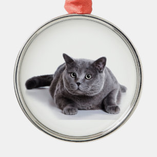 Ornamento De Metal Gato cinzento