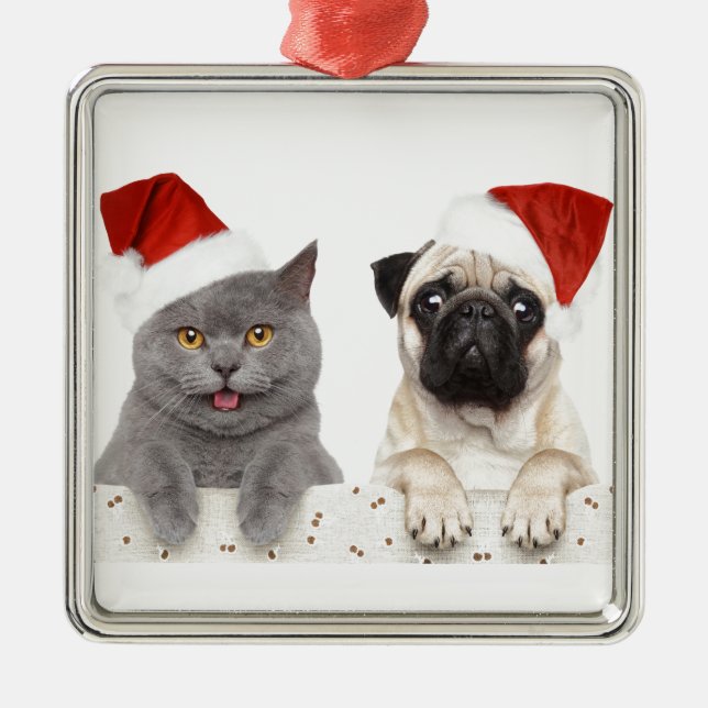 Ornamento De Metal Gato cinzento e design chinês do Natal do Pug (Frente)