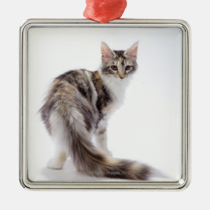 Ornamento De Metal Gato de racum de Maine