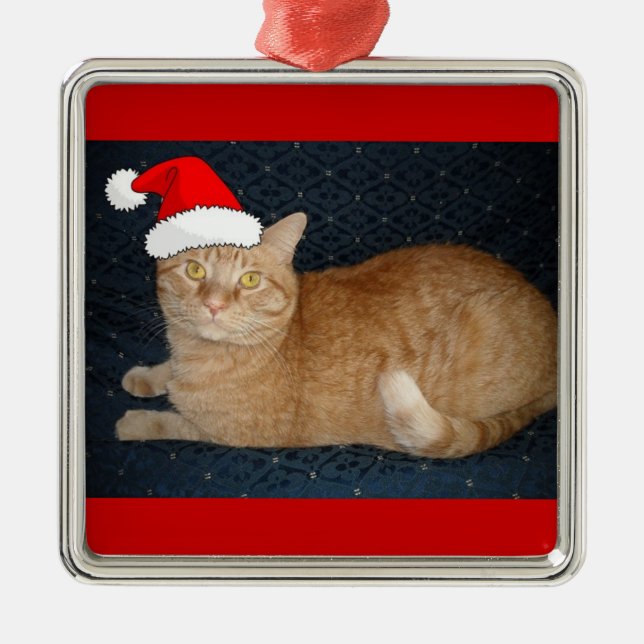 Ornamento De Metal Gato de Tabby Laranja Natal (Frente)