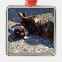 Gato de TortoisesInferno Reproduzido