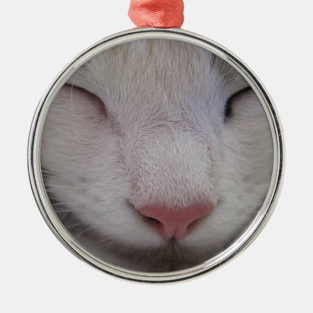 Ornamento De Metal Gato Dormindo (Frente)