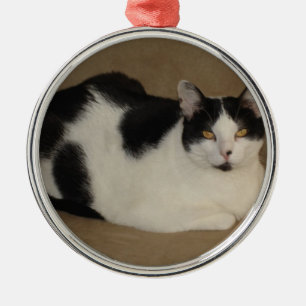 Ornamento De Metal Gato em um sofá