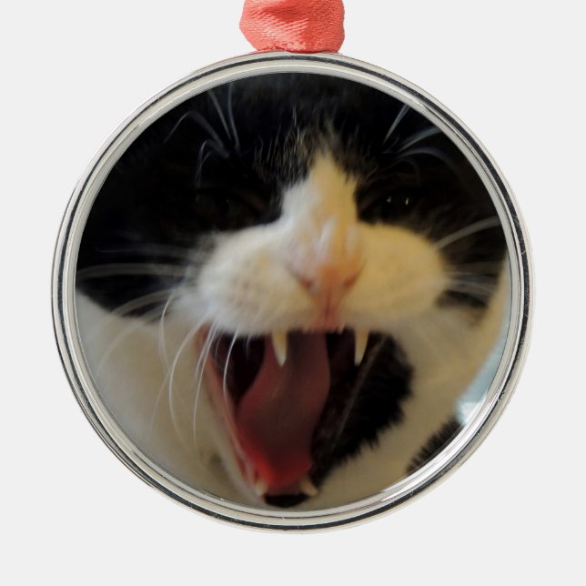 Ornamento De Metal Gato irritado (Frente)