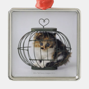 Ornamento De Metal Gato na gaiola