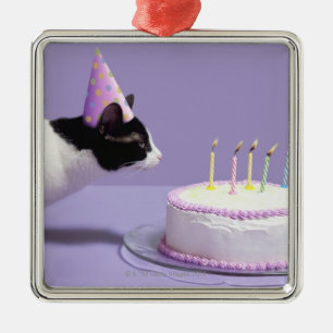 Ornamento De Metal Gato que veste o chapéu do aniversário que funde