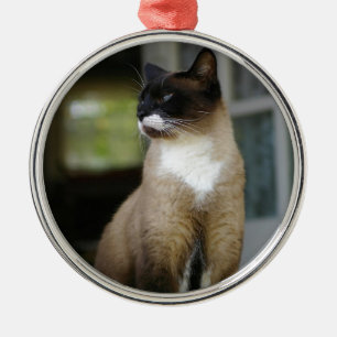 Ornamento De Metal Gato Siamese no patamar