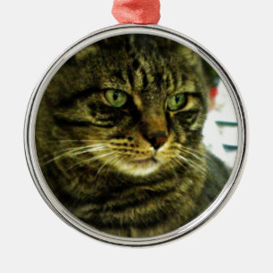Ornamento De Metal Gato Tabby de Olhos Verdes