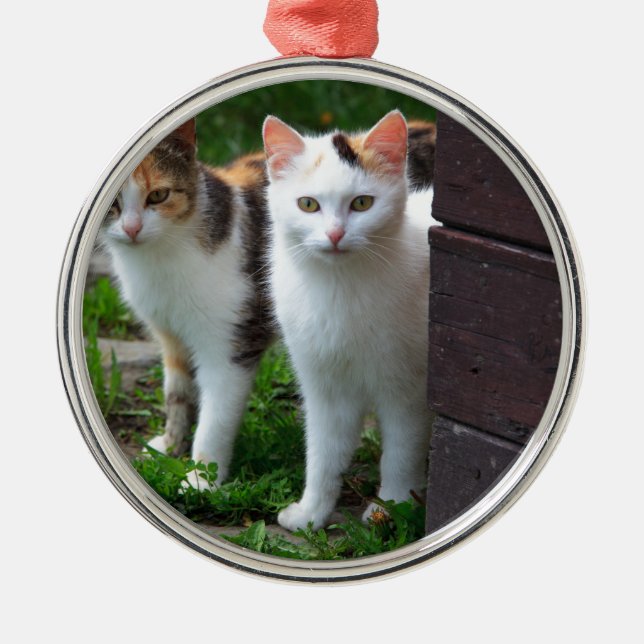 Ornamento De Metal Gatos fora brincando (Frente)