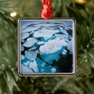 Ornamento De Metal Gelo e neve Urso Polar, Oceano Ártico, Svalbard