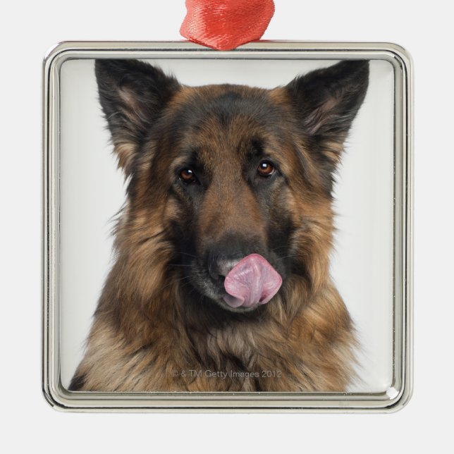 Ornamento De Metal German shepherd (Frente)