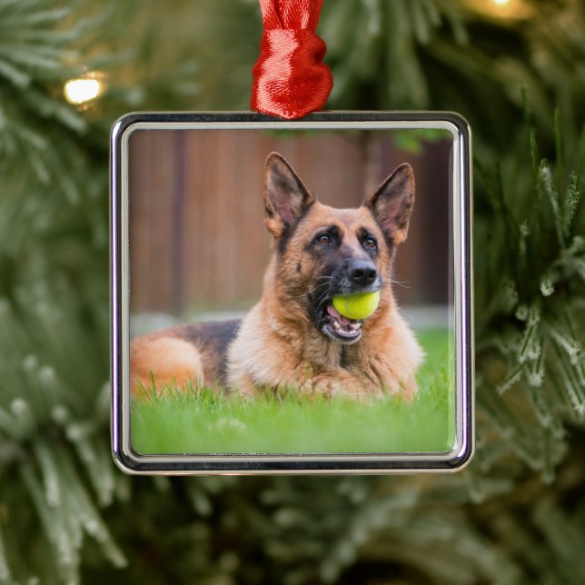 Ornamento De Metal German shepherd Com Bola De Tênis (Árvore)