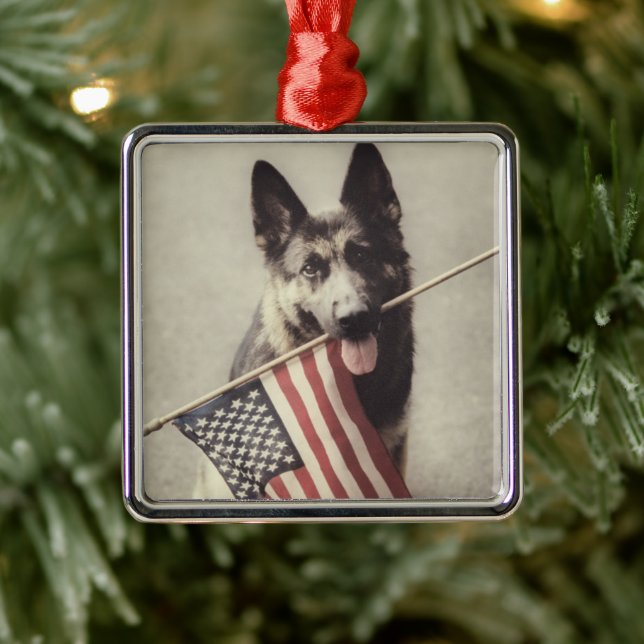 Ornamento De Metal German shepherd com sinalizador dos EUA (Árvore)