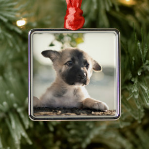 Ornamento De Metal German shepherd Puppy Sobre A Borda