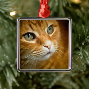 Ornamento De Metal Ginger Tabby Cat Posicionando Retrato