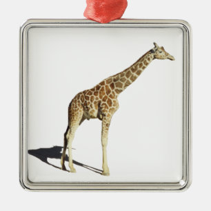 Ornamento De Metal Girafa