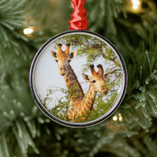 Ornamento De Metal Girafas se destacam da vegetação