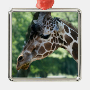 Ornamento De Metal Giraffe Ornament