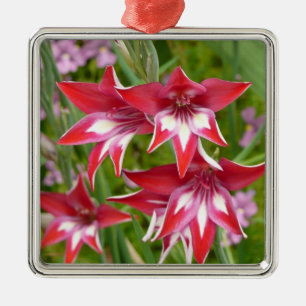 Ornamento De Metal Gladiolas Vermelhas e Brancas Verão Botânico