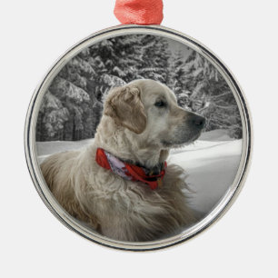 Ornamento De Metal Golden retriever bonito na neve