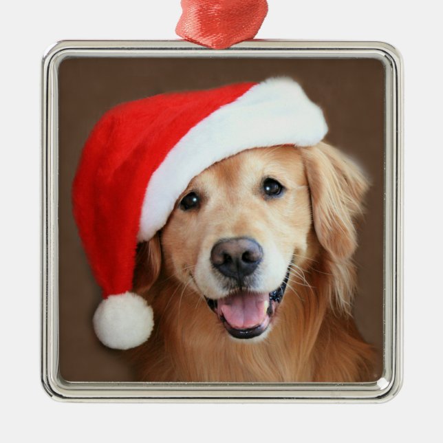 Ornamento De Metal Golden retriever com chapéu do papai noel (Frente)