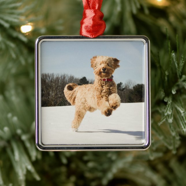 Ornamento De Metal Goldendoodle Correndo Pelo Campo (Árvore)