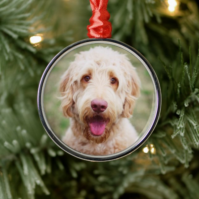 Ornamento De Metal Goldendoodle Smiling (Árvore)