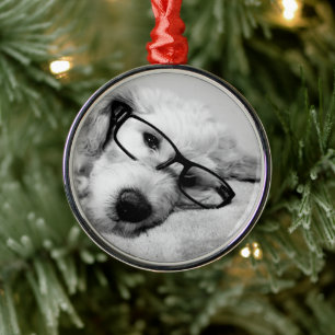 Ornamento De Metal Goldendoodododle com óculos