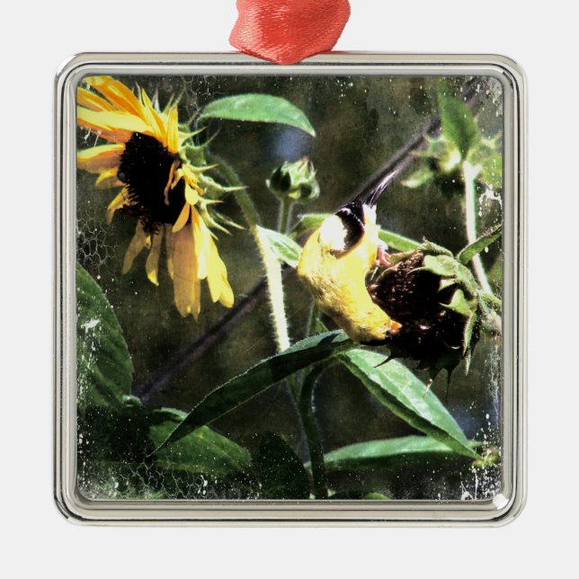 Ornamento De Metal Goldfinch (Frente)