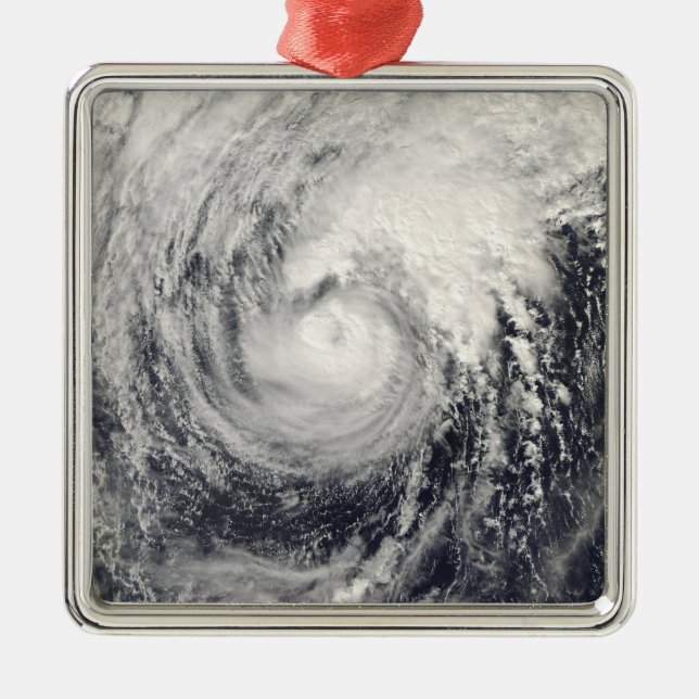 Ornamento De Metal Golfinho de tufão no mar das Filipinas (Frente)