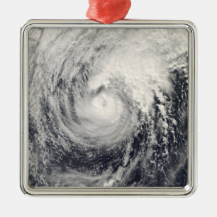 Ornamento De Metal Golfinho do tufão no mar filipino