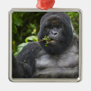 Ornamento De Metal Gorila da Montanha e Silverback