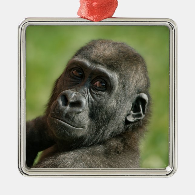 Ornamento De Metal Gorilla Youngster (Frente)