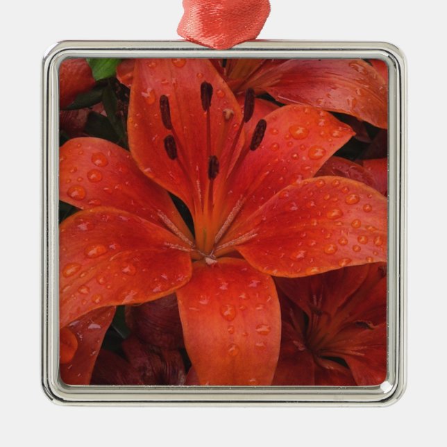 Ornamento De Metal Gotas de chuva em uma Lily (Frente)