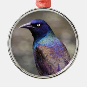 Ornamento De Metal Grackle comum