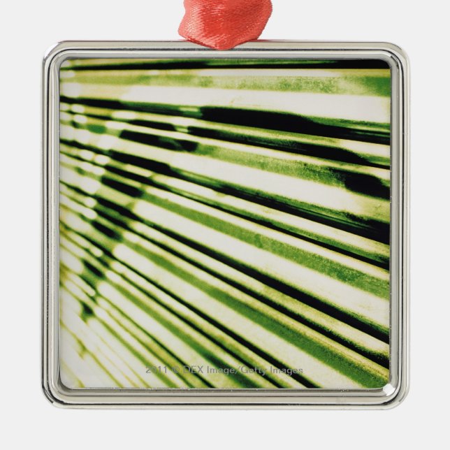 Ornamento De Metal Grafites em um obturador (Frente)