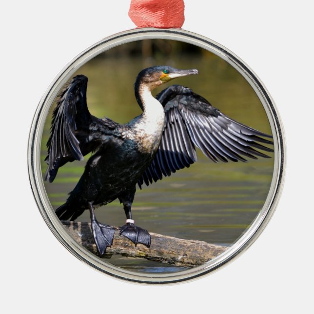 Ornamento De Metal Grande Cormorant com asas abertas (Frente)