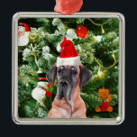 Ornamento De Metal Grande Dane com Árvore de Natal Boxes Santa Hat<br><div class="desc">Um lindo cachorro dinamarquês vestindo Red Santa Hat e posando em frente à agradável árvore de Natal,  com caixas de presentes,  homem de neve,  ursinho de pelúcia,  Enfeites de natal. Um presente perfeito neste Natal!</div>