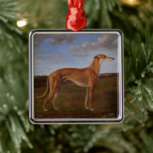 Greyhound
