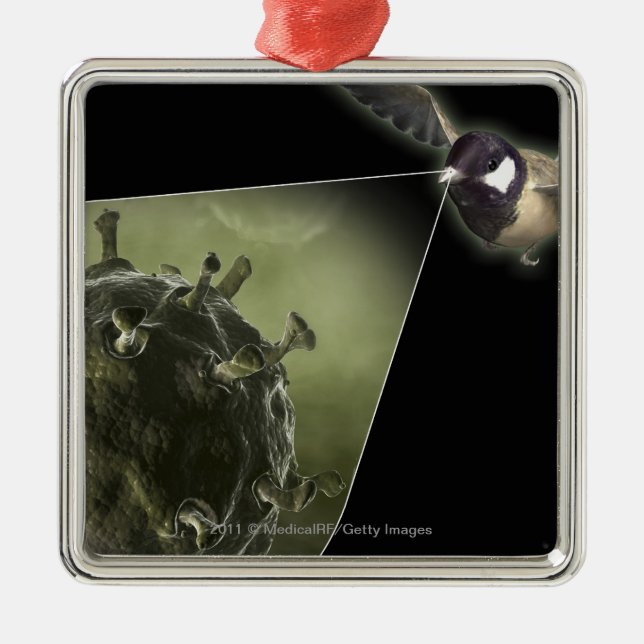 Ornamento De Metal Gripe aviária que sai do pássaro (Frente)