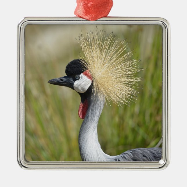 Ornamento De Metal Grua Preta-Arrastada Fechada (Frente)