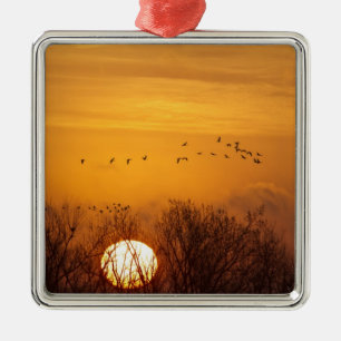 Ornamento De Metal Gruas de Sandhill silhuetas contra sol ascensão