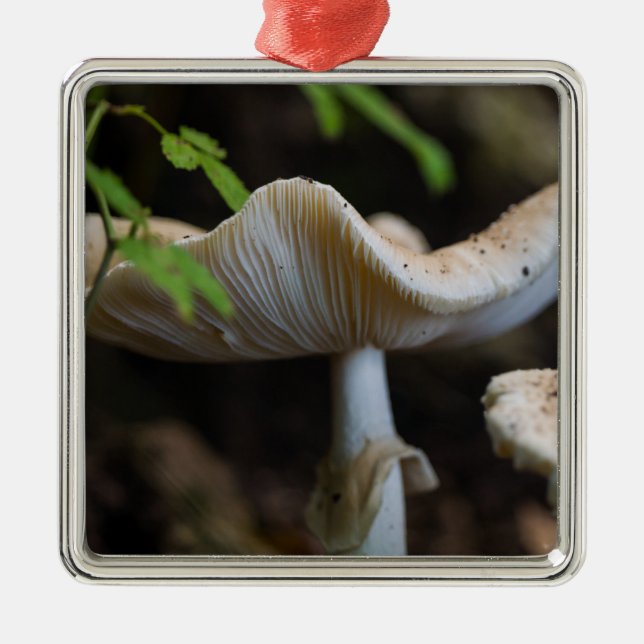 Ornamento De Metal Guarda-Chuva Cogumelo Venenoso (Frente)