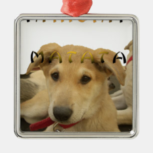 Ornamento De Metal "Hakuna Matata Pup" - Amor Sem Preocupação