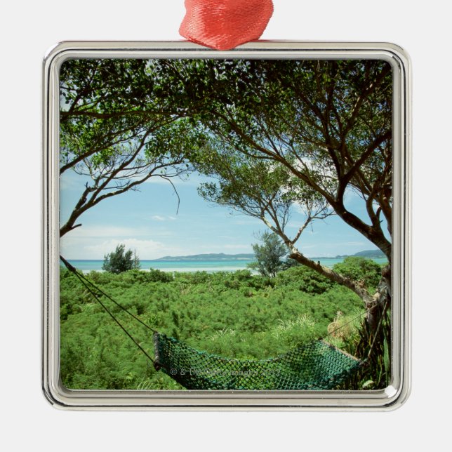 Ornamento De Metal Hammock (Frente)