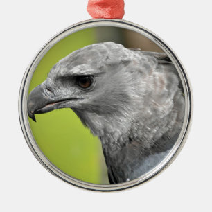 Ornamento De Metal Harpy Eagle 2.JPG