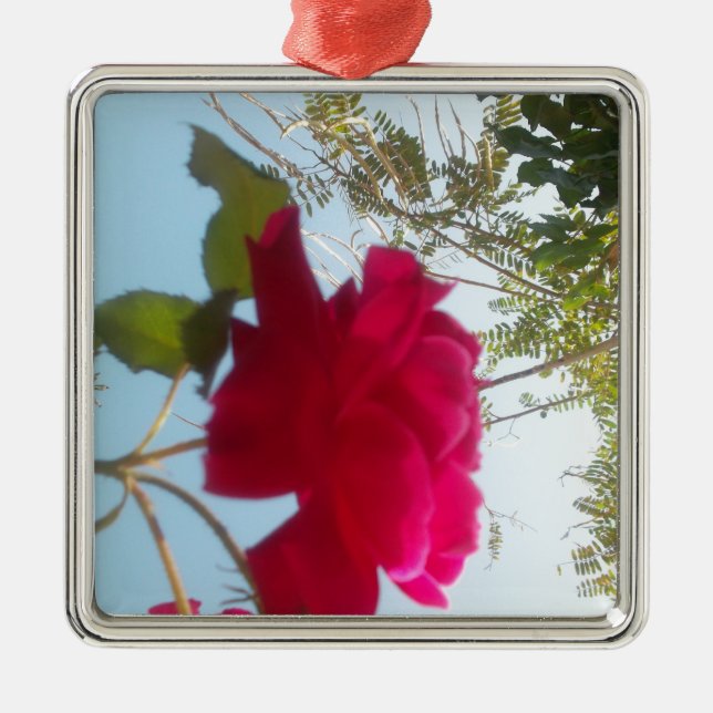 Ornamento De Metal Heavenly Bloom: Um Rosa Contra o Céu (Frente)