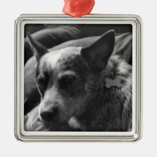 Ornamento De Metal Heeler azul