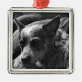 Ornamento De Metal Heeler azul
